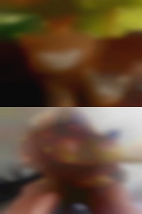 WillliamSaggs612, phone number