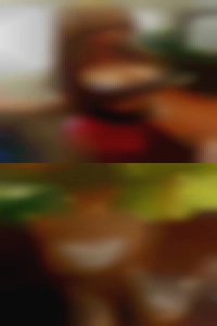 Aracelivictory, 